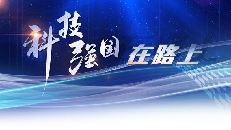 SaaS系统数据安全流程规范：构建企业数据安全的坚实防线